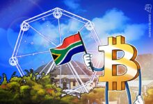 A Bitcoiner’s guide to South Africa’s Garden Route