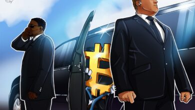 Bitcoin privacy tool Payjoin receives $100K grant from Maelstrom