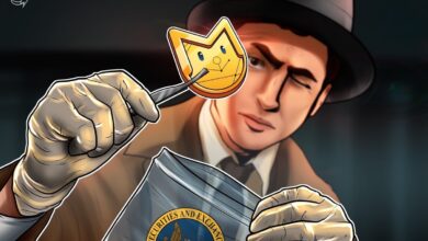 ‘Hawk tuah girl’ Haliey Welch says FBI probed her ‘memecoin disaster’