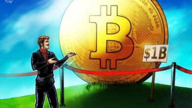 Hyperliquid sees $1.1B Bitcoin long bet opened at 40x leverage