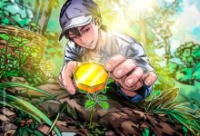 How to Spot the Next Big Crypto Gem in 2025