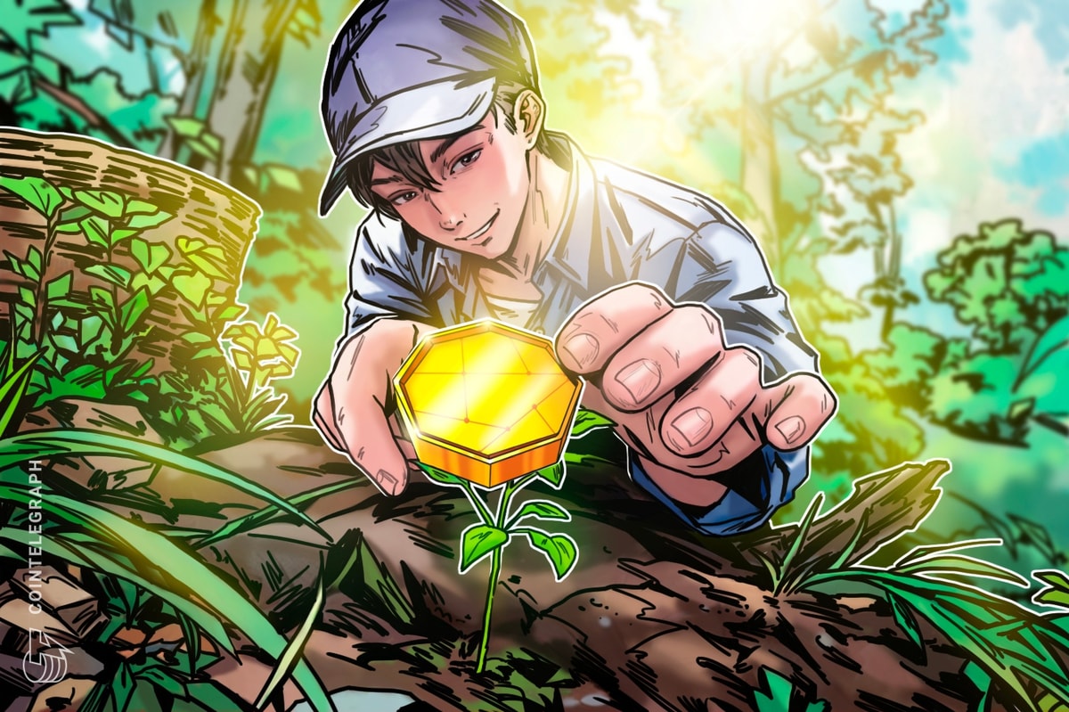 Find out how to Spot the Subsequent Large Crypto Gem in 2025 How to Spot the Next Big Crypto Gem in 2025
