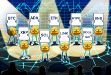 BTC, ETH, XRP, BNB, SOL, DOGE, ADA, SUI, HYPE, LINK