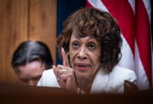 Trump's Memecoin Dinner Draws Crowded Cast of Democratic Protesters from Congress