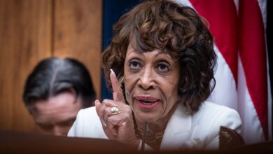 Trump's Memecoin Dinner Draws Crowded Cast of Democratic Protesters from Congress