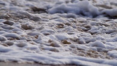 Ripple, Dogecoin Bets Surge in Sign of Speculative Froth