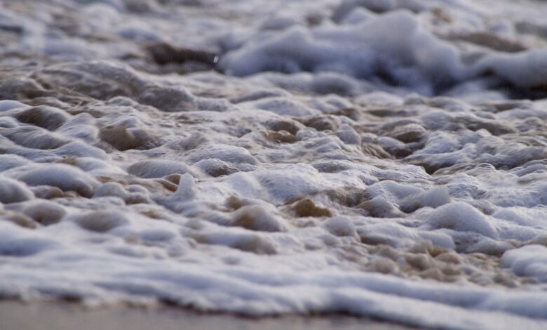 Ripple, Dogecoin Bets Surge in Sign of Speculative Froth