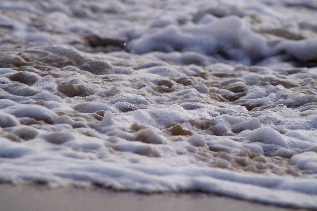 Ripple, Dogecoin Bets Surge in Signal of Speculative Froth Ripple, Dogecoin Bets Surge in Sign of Speculative Froth