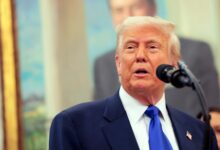 Trump Trade Tease Lifts Market While Movement's Fees Evaporate