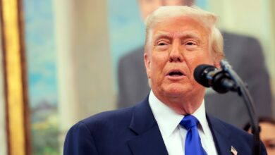 Trump Trade Tease Lifts Market While Movement's Fees Evaporate