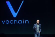 VeChain’s Sunny Lu Wants to Tokenize Sustainable 'Human Behavior' Like Driving a Tesla