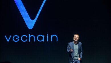 VeChain’s Sunny Lu Wants to Tokenize Sustainable 'Human Behavior' Like Driving a Tesla