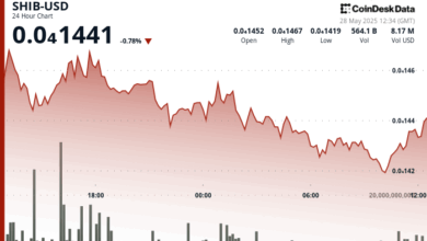 Shiba Inu (SHIB) Struggles for Momentum as Whale Transactions Plunge Over 80%