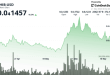 Whales Exit as Bulls Lose Momentum
