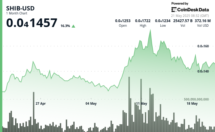 Whales Exit as Bulls Lose Momentum Whales Exit as Bulls Lose Momentum