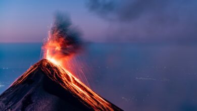 Altcoins Rally as ‘Complacent’ BTC Points to Pent-Up Volatility