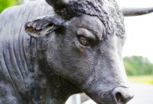 Bitcoin Dips, but ETF Inflows, Fed Week Keep BTC Bulls' Interest