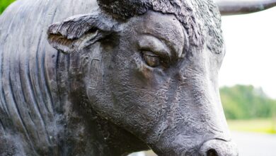Bitcoin Dips, but ETF Inflows, Fed Week Keep BTC Bulls' Interest