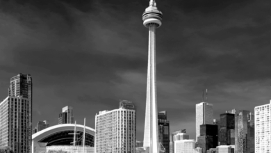 What to Expect at Consensus 2025