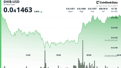 $SHIB Stages Remarkable Recovery After Mid-Day Sell-Off