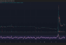 CANTO Rises From the Ashes, Spiking 250% Before Crashing Back Down