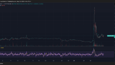 CANTO Rises From the Ashes, Spiking 250% Before Crashing Back Down