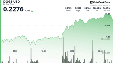 DOGE Climbs as Whale Activity Boosts Bullish Momentum