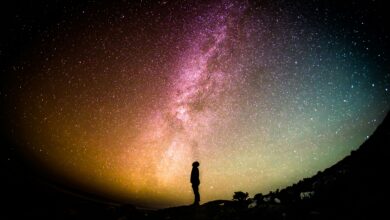 Crypto Is Not an Asset Class — It's an Asset Universe