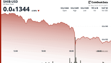 SHIB Battles Uncertainty After Massive Token Inflows Cap Price Moves