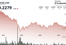 DOGE Finds Support After Tariff-Driven Drop