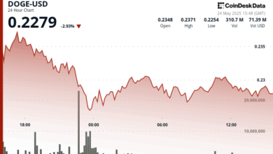 DOGE Finds Support After Tariff-Driven Drop