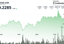 Dogecoin (DOGE) Holds $0.220 Support as Whale Wallets Grow Amid Market Uncertainty