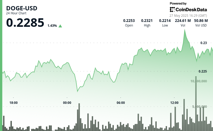 Dogecoin (DOGE) Holds $0.220 Help as Whale Wallets Develop Amid Market Uncertainty Dogecoin (DOGE) Holds $0.220 Support as Whale Wallets Grow Amid Market Uncertainty