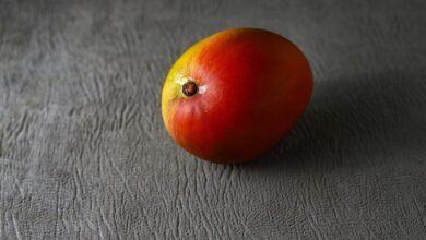 Judge Overturns Convictions in Mango Markets Exploiter’s Crypto Fraud Case