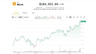 Why Is Bitcoin Up Today? BTC Price Nears $105K as Analysts Say Rally Has 'Room to Run'