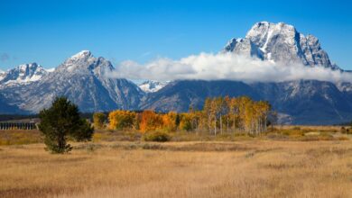 Wyoming Taps Inca Digital to Secure First State-Issued Stablecoin Ahead of July Launch