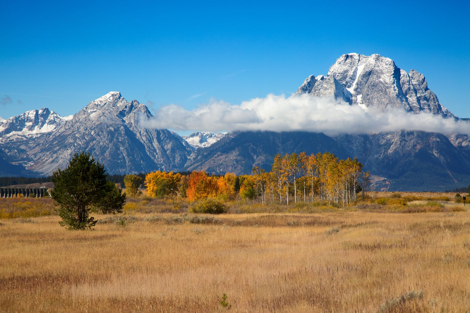 Wyoming Faucets Inca Digital to Safe First State-Issued Stablecoin Forward of July Launch Wyoming Taps Inca Digital to Secure First State-Issued Stablecoin Ahead of July Launch