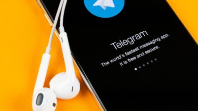 Telegram Signs $300M Deal With Elon Musk's xAI to Integrate Grok AI Into Its Messaging App