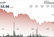 Solana's SOL Dips 5% Amid Fading Memecoin Trading Activity on Network