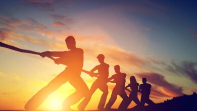 Retail Shift to Riskier Tokens Jolts BTC Price, ETH