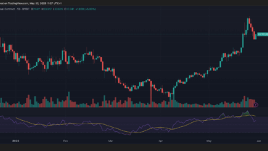Binance Futures List HYPE Token Amid Feverish Trading Activity in Hyperliquid