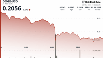 Dogecoin Plunges 10% in Midnight Crash, Struggles to Find Footing