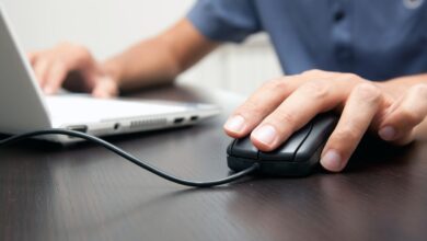 Cardano to Directly Feature Blockchain and Assets on Brave Browser