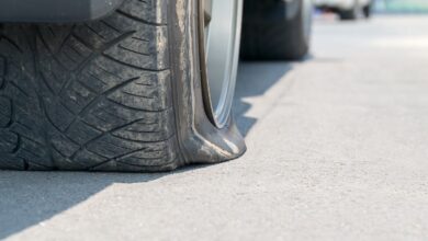Ether Only Major in Green, XRP Price Action Muted After Mammoth Treasury Plans