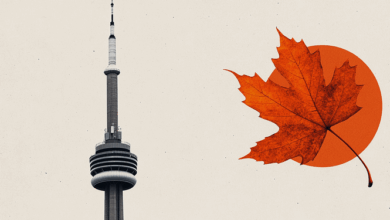 CAD steady, risk reversal pricing, technical lean bullish – Scotiabank