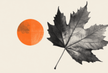 CAD holds trading range around 1.3950 ahead of CPI – Scotiabank