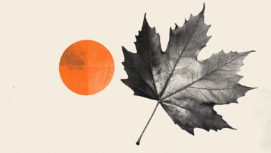 CAD holds trading range around 1.3950 ahead of CPI – Scotiabank