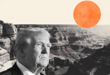 President Trump unveils 'Golden Dome' defence shield plans