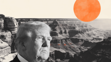 President Trump unveils 'Golden Dome' defence shield plans
