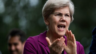 As Meta Said to Mull Tokens, U.S. Senator Warren Calls for Blocking Big Tech Stablecoins